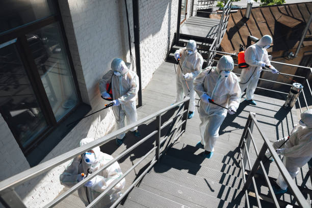 Mold Odor Removal Services in Hazardville, CT
